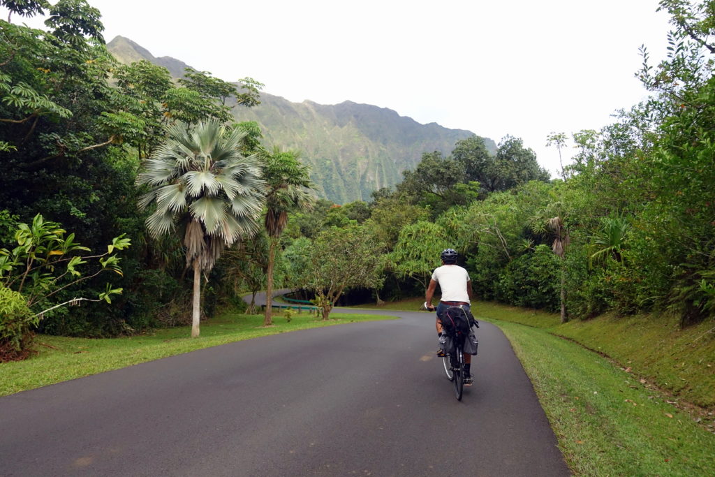 Mit dem Fahrrad auf dem Weg zum Campingplatz im Botanischen Garten auf Oahu auf Hawaii