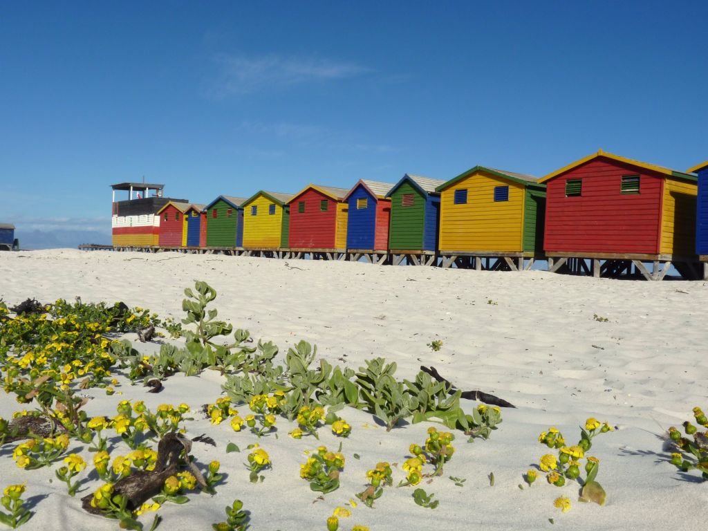Kapstadt Reise: am Muizenberg Strand gibt es wunderschöne bunte Standhäuschen