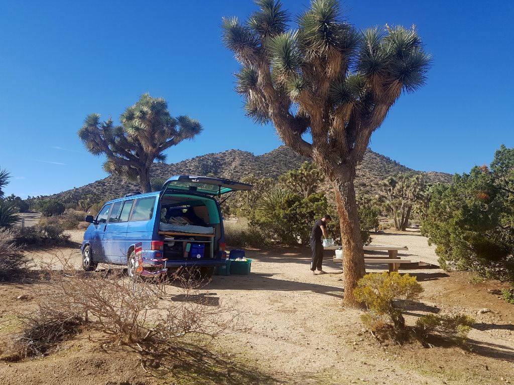 Autokauf in den USA - Vanlife in den USA - mit dem Bulli im Joshua Tree Nationalpark