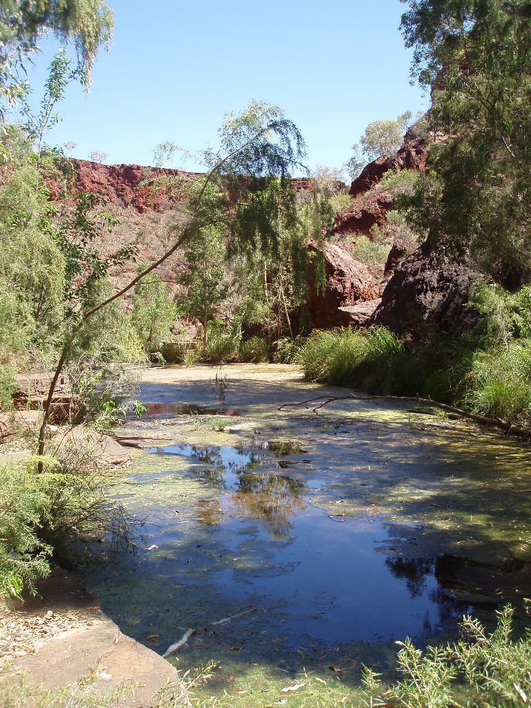 Der Karijini Nationalpark ist ein absolutes Highlight in Western Australia