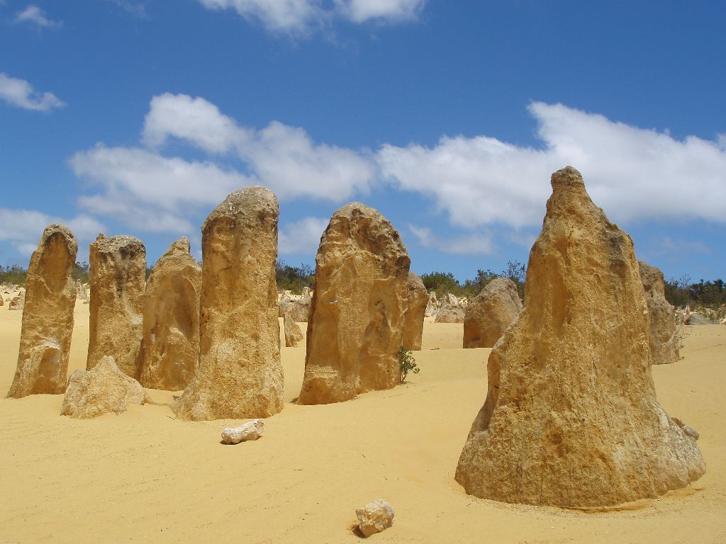 Die Pinnacles sind ein Highlight in Western Australia