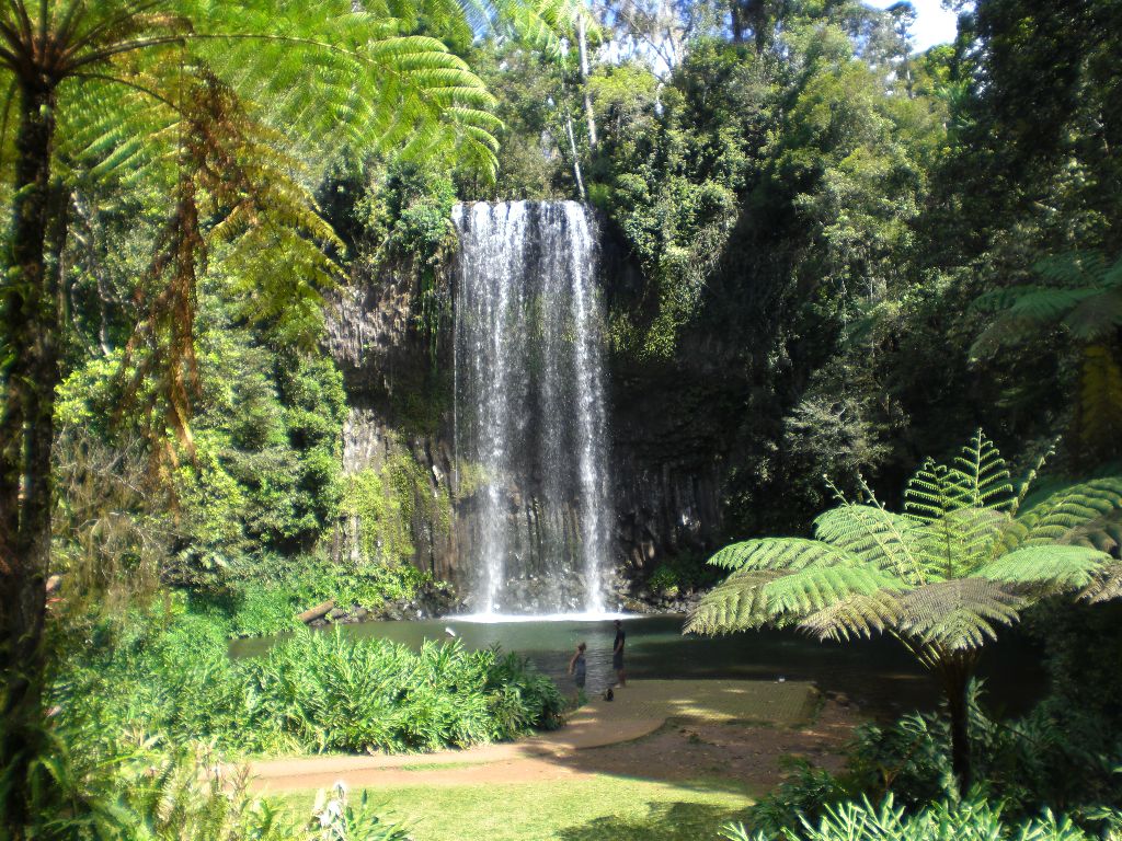 Millaa Millaa Falls Wasserfälle - Sehenswürdigkeiten Australien Ostküste – Reiseroute Australien Ostküste im Überblick 