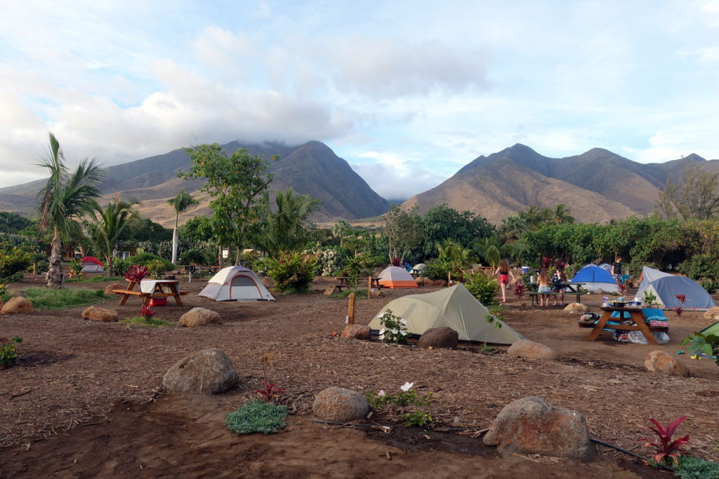 Camping auf Maui auf Hawaii - hier auf dem privaten Campingplatz im Camp Olowalu auf Maui mit vielen Zelten direkt am Meer und Auto-Camping