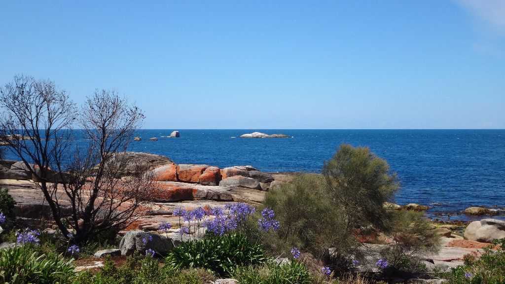 St. Helens in der Nähe des Bay of Fires in Tasmanien  - Tasmanien-Sehenswürdigkeiten auf deiner Tasmanien-Rundreise