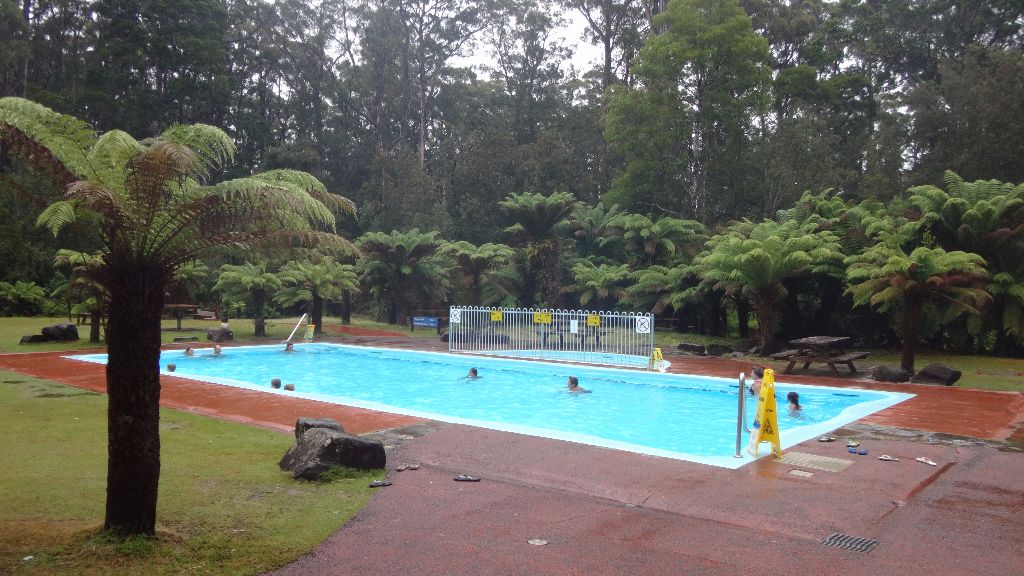 Swimmingpool in den Hastings Thermal Pools - Tasmanien-Sehenswürdigkeiten auf deiner Tasmanien-Rundreise