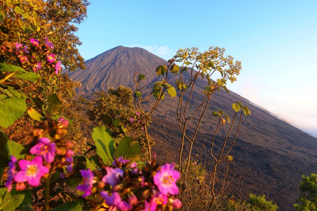 Backpacking in Guatemala - Guatemala Reiseroute & Sehenswürdigkeiten - Vulkan Pacaya