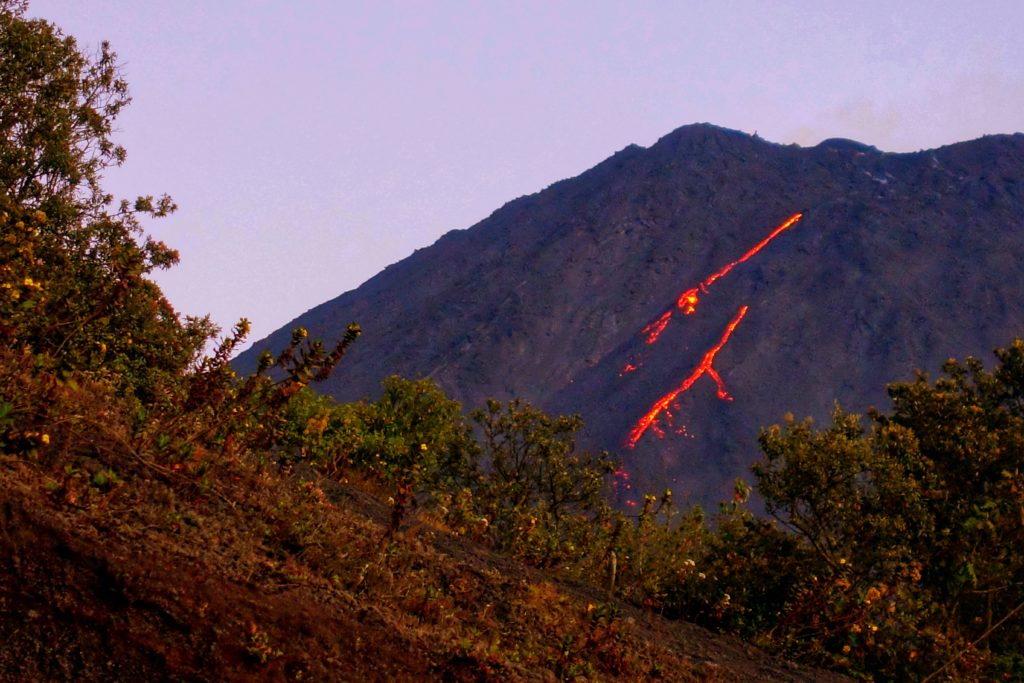 Backpacking in Guatemala - Guatemala Reiseroute & Sehenswürdigkeiten - Lava auf Vulkan Pacaya