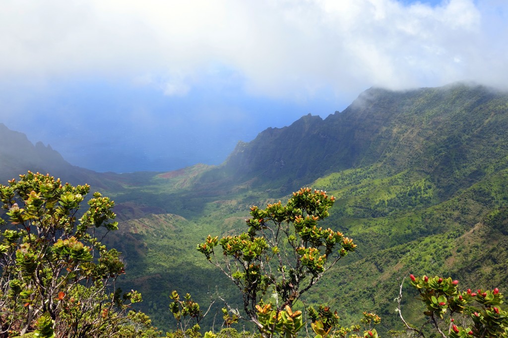 Sehenswürdigkeit auf Kauai - Aussichtspunkt im Kokee Statepark - super Aussicht auf die Napali Coast