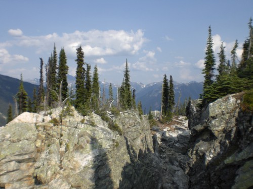 Reisebericht über Backpacking in Kanada. Hier sind wir in Revelstoke im Nationalpark wandern.