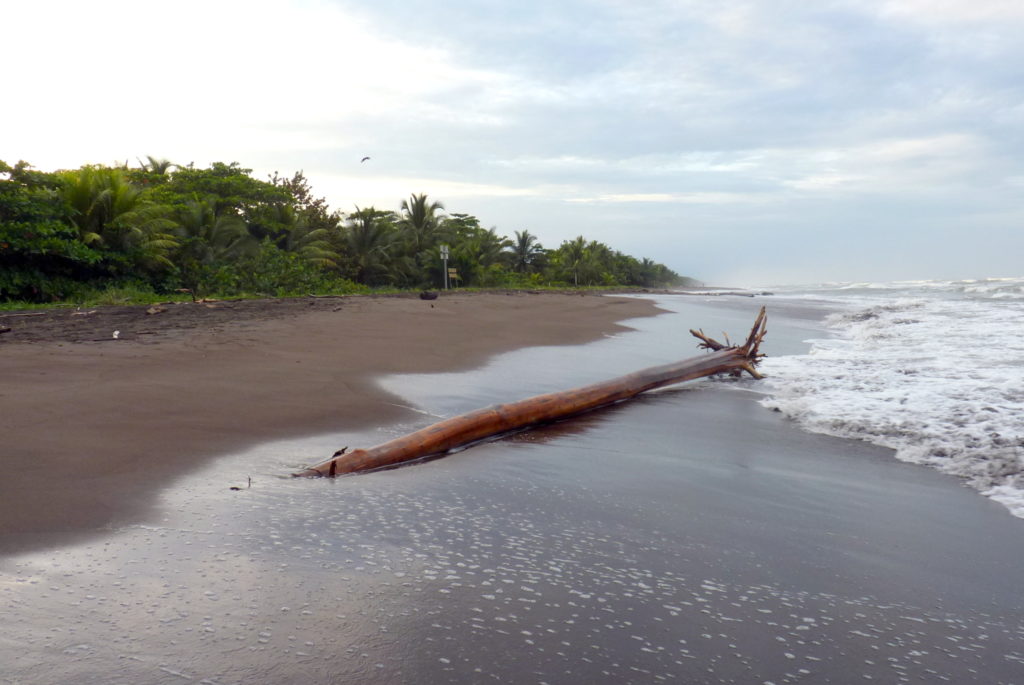 Strand von Tortuguero - Panama & Costa Rica in 3 Wochen - Reisebericht über Backpacking in Panama und Costa Rica