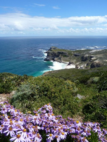 Cape Point Aussicht auf die Küste vom Kap der guten Hoffnung - Kapstadt-Reise