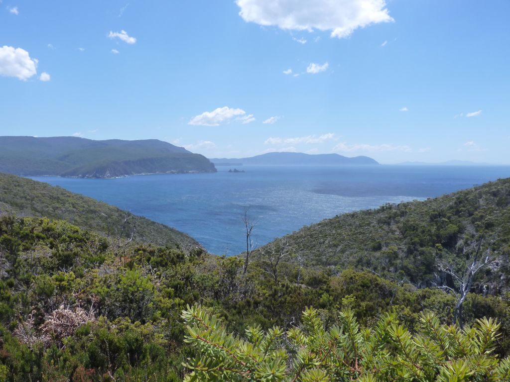 Tasmanien Sehenswürdigkeiten - Tasman Peninsula Ausblick auf die Bucht mit klarem Wasser an der Ostküste Tasmaniens