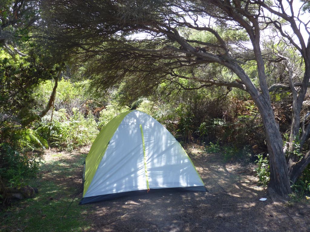 Kostenloser Zeltplatz an den Friendly Beaches in Tasmanien - Tasmanien-Sehenswürdigkeiten auf deiner Tasmanien-Rundreise