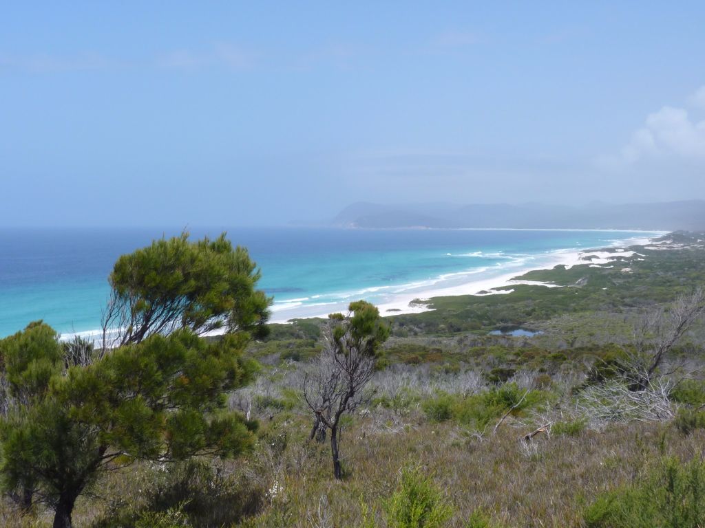 Friendly Beaches an der Ostküste von Tasmanien - Tasmanien-Sehenswürdigkeiten auf deiner Tasmanien-Rundreise