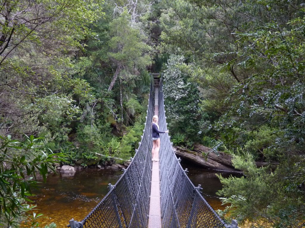 Walk über eine Hängebrücke auf dem Weg von Queenstown in Tasmanien - Tasmanien-Sehenswürdigkeiten auf deiner Tasmanien-Rundreise