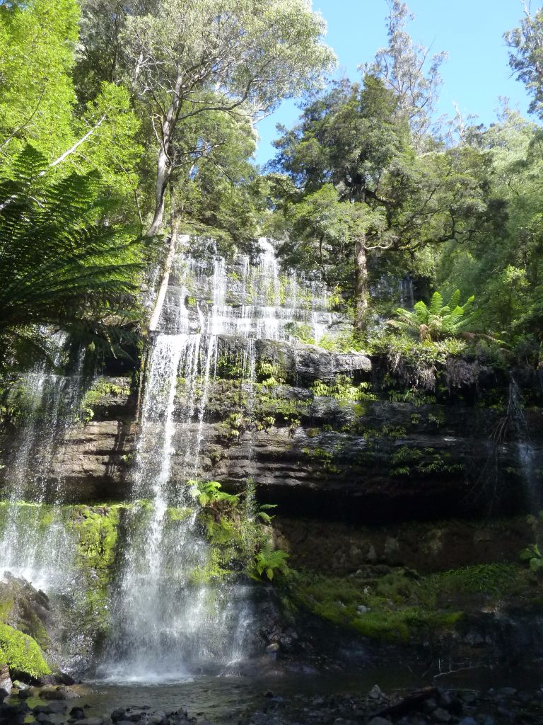 Tasmanien-Highlights: Mount Field Nationalpark mit seinen beeindruckenden Wasserfällen - Tasmanien-Sehenswürdigkeiten auf deiner Tasmanien-Rundreise