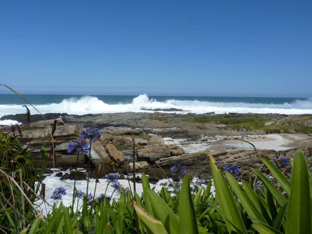 Südafrika_Garden Route_Tsitsikama Nationalpark_Strand_Work Travel Balance